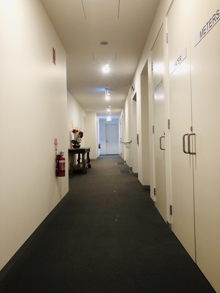 Painted office corridor and doors